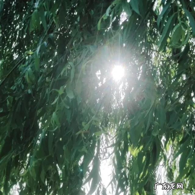 为什么生食昆虫时把头拧掉,剩下的就都可以吃了