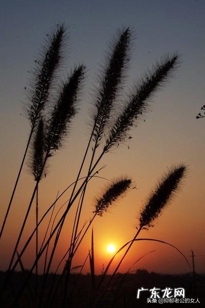 得了抑郁症的人最终会过上正常生活吗