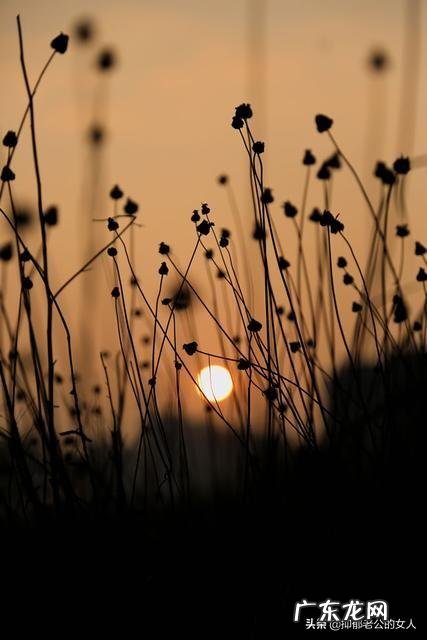 得了抑郁症的人最终会过上正常生活吗
