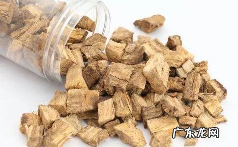 被世界粮农组织评为“第六谷”的植物-葛根到底是什么东西