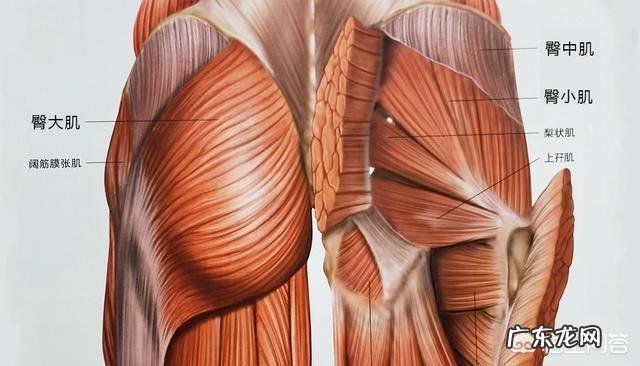 怎么在家里练出马甲线和翘臀