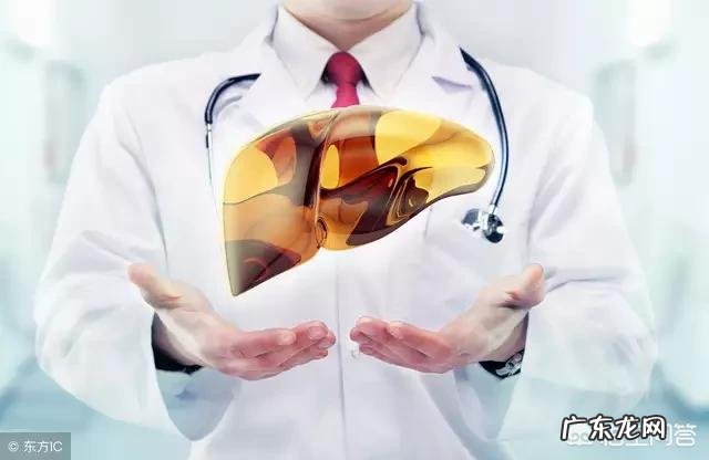 中草药真的可以抗乙肝病毒吗