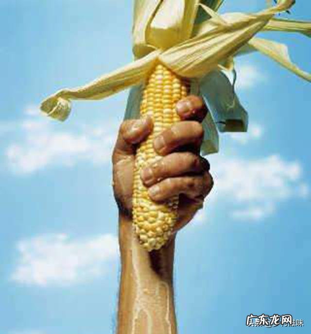 粮食是国民之重,为什么不给粮食加价,来提高种植积极性