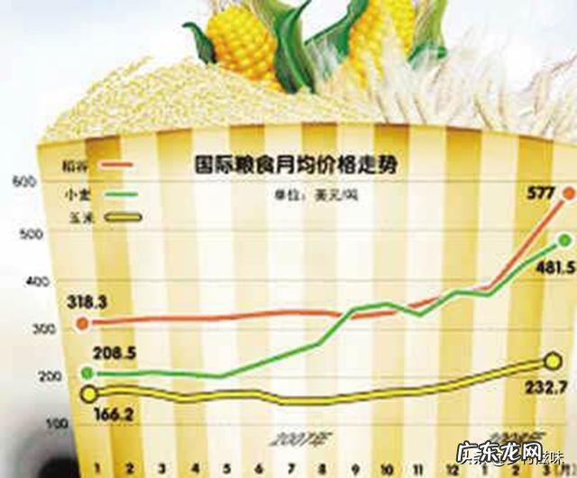 粮食是国民之重,为什么不给粮食加价,来提高种植积极性