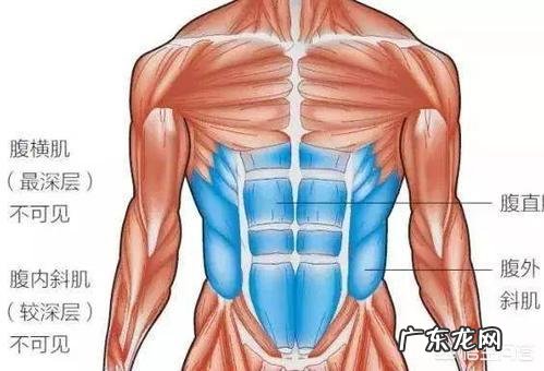 减肥之后,胳膊肉、大腿肉皮特别松,怎么办