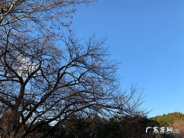 怎么才能让一个人变得阳光