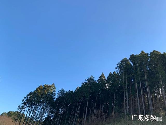 怎么才能让一个人变得阳光