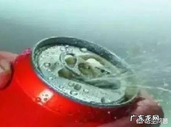 哪种食物,能有效降低尿酸,是痛风的天敌