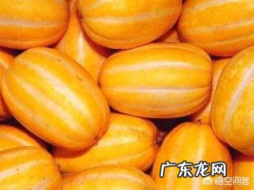 香瓜籽很香甜，到底能吃吗