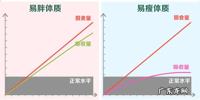 都说减肥不能吃米面主食是真的吗