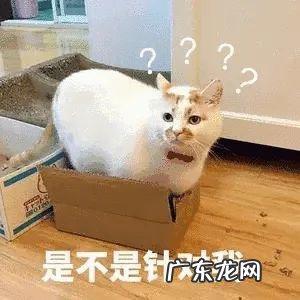 流感高发怎么防治 流感的预防措施和护理