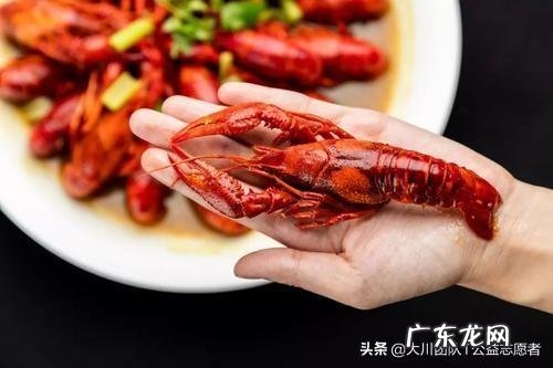 如何看待李佳琦薇娅直播一晚收入6到8亿,成为了全民讨论的热点