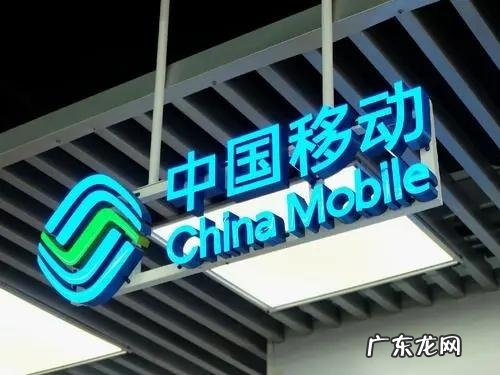 那些网红食品真有那么神奇吗