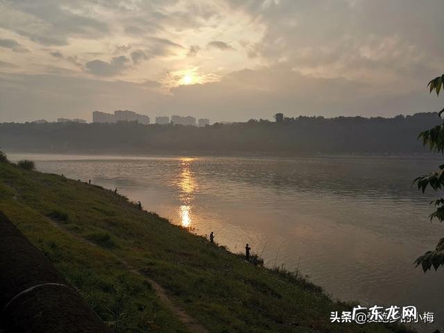 夏天什么时间晨跑和什么时间夜跑最好呢