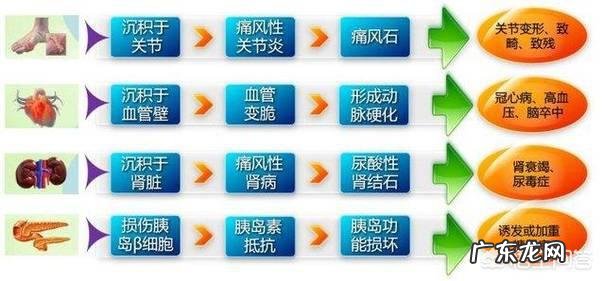 百度上说的低嘌呤食物都不同,有懂低嘌呤食物的,请建议。谢谢