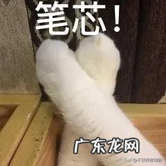 说说你在闲鱼上遇到最无语的事情