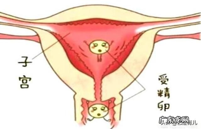 为什么试管婴儿也有生化妊娠