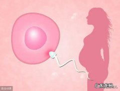 为什么试管婴儿也有生化妊娠