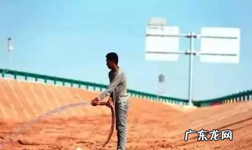 中国沙漠无人区里的高速,竟然比美国66号公路还美,你知道吗