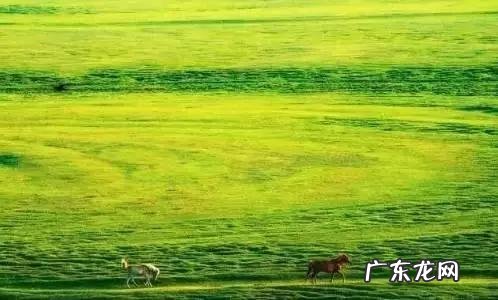 中国沙漠无人区里的高速,竟然比美国66号公路还美,你知道吗