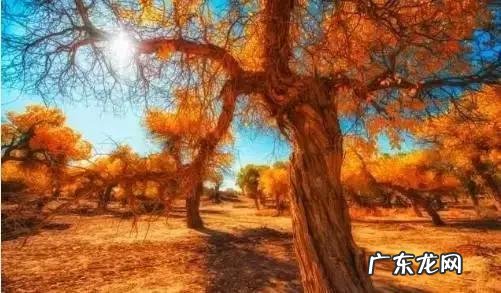 中国沙漠无人区里的高速,竟然比美国66号公路还美,你知道吗