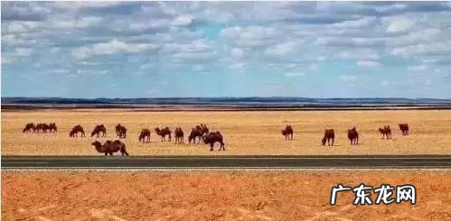 中国沙漠无人区里的高速,竟然比美国66号公路还美,你知道吗