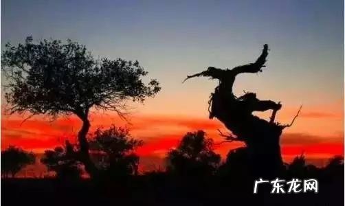 中国沙漠无人区里的高速,竟然比美国66号公路还美,你知道吗