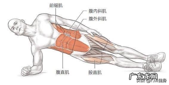 怎样才能快速练成腹肌和胸肌