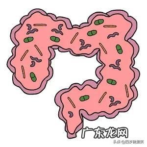 宝宝八个月感冒了!吃了药拉肚子,屁股都烂了!怎么办