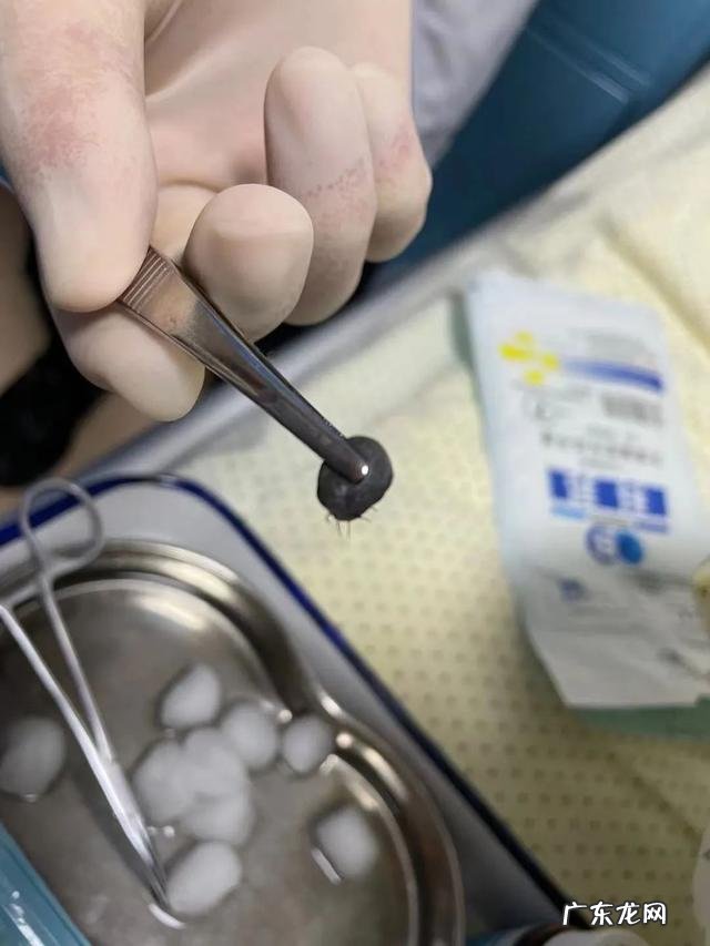 疾控中心防病注意事项 疾控专家提醒个人防护七件事