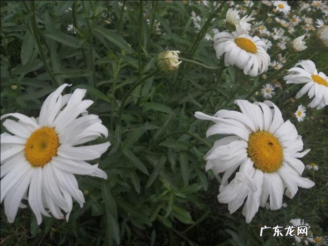 很多徒步旅行自媒体人,是追求和宣传个性自由还是为了赚取收益