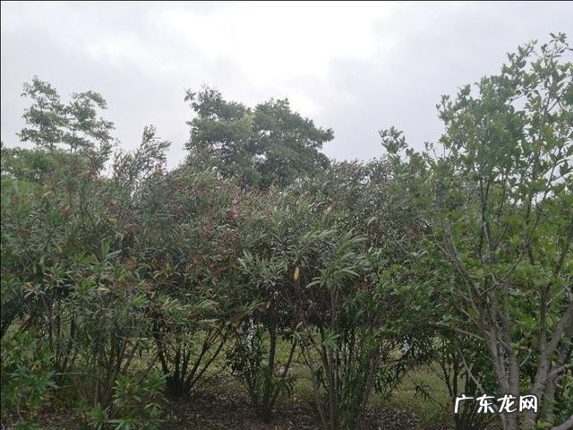 很多徒步旅行自媒体人,是追求和宣传个性自由还是为了赚取收益