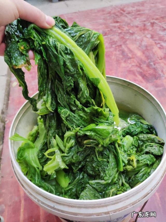 农村人最喜欢做什么晚饭为什么