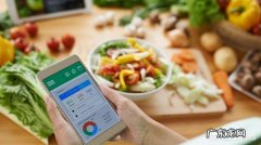 通过节食减下体重后，每天运动能够防止反弹吗