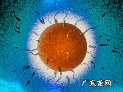 备孕几年都没有结果,到底不孕的原因有哪些