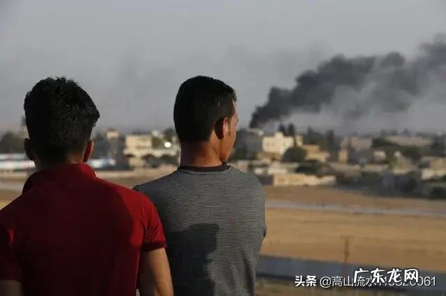 学IT的那么多,现在学晚不晚