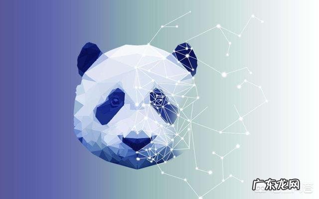 学IT的那么多,现在学晚不晚