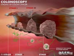 有没有孕妈整个孕期都没有忌口，生下来的宝宝一样漂亮