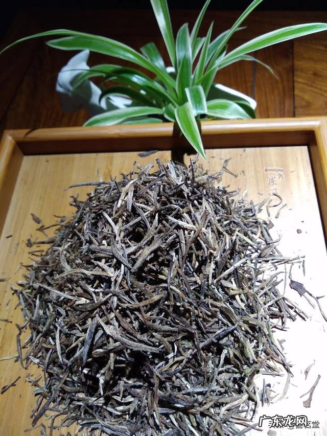 竹筒酒真的是跟竹子同生长吗