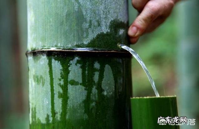 竹筒酒真的是跟竹子同生长吗