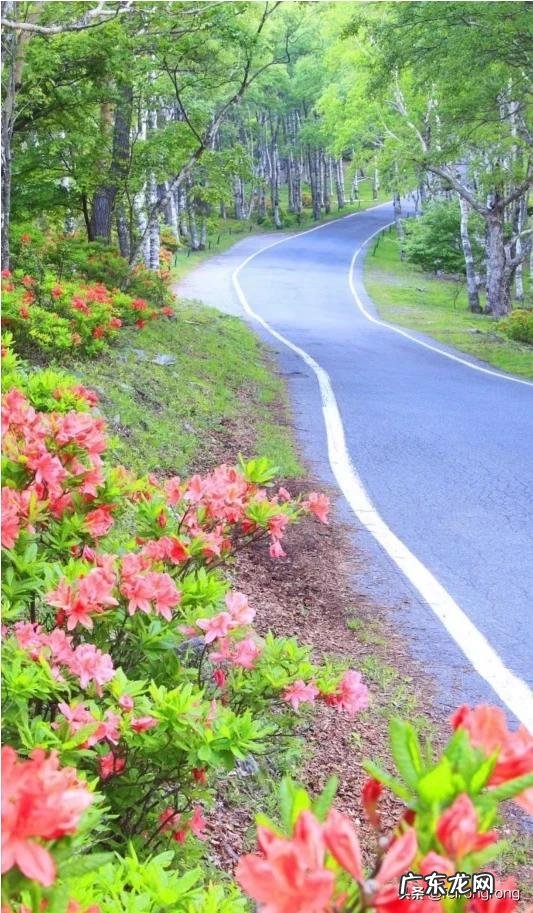 秋冬女性应该喝什么茶最好