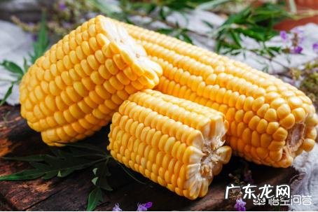 视力变差是什么原因吃什么可以提高视力