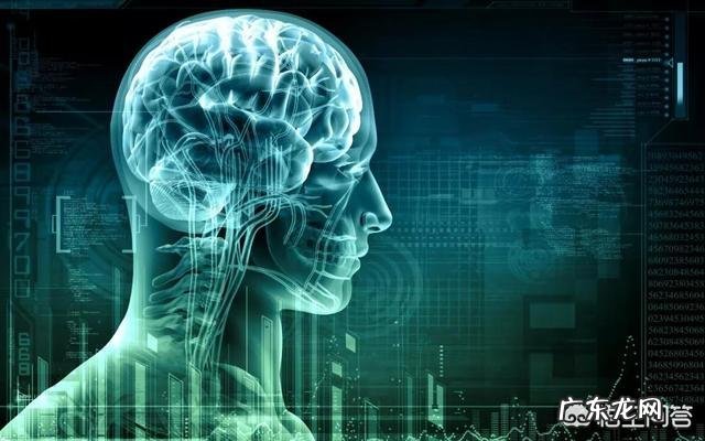 黑科技DeepFake,上线五天就遭全球唾弃,到底有多邪恶