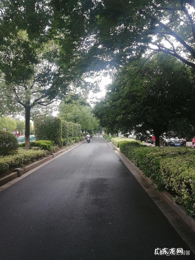 为什么我很努力了,成绩还是那么差