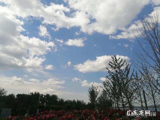 为什么我很努力了,成绩还是那么差