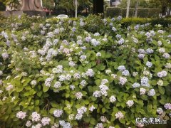 为什么我很努力了，成绩还是那么差