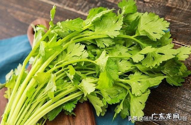 大家知道女生在夏天适合吃点什么减肥吗