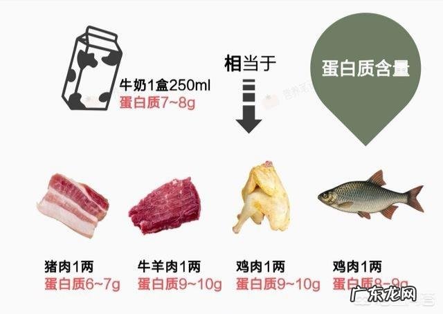 现在有些人对蛋白粉的偏见很大,说蛋白粉喝了对肾不好,为什么