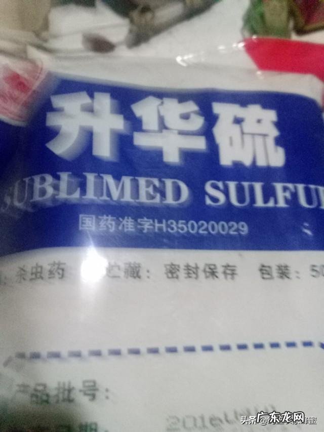 意蜂一年要杀几次螨该注意些什么