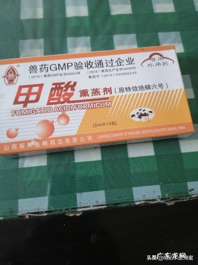 意蜂一年要杀几次螨该注意些什么